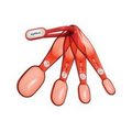 Red 4 Piece Measuring Spoons
